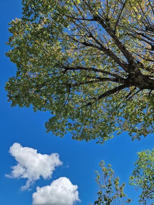 Le Grenier Appartamento Dannemarie  Esterno foto