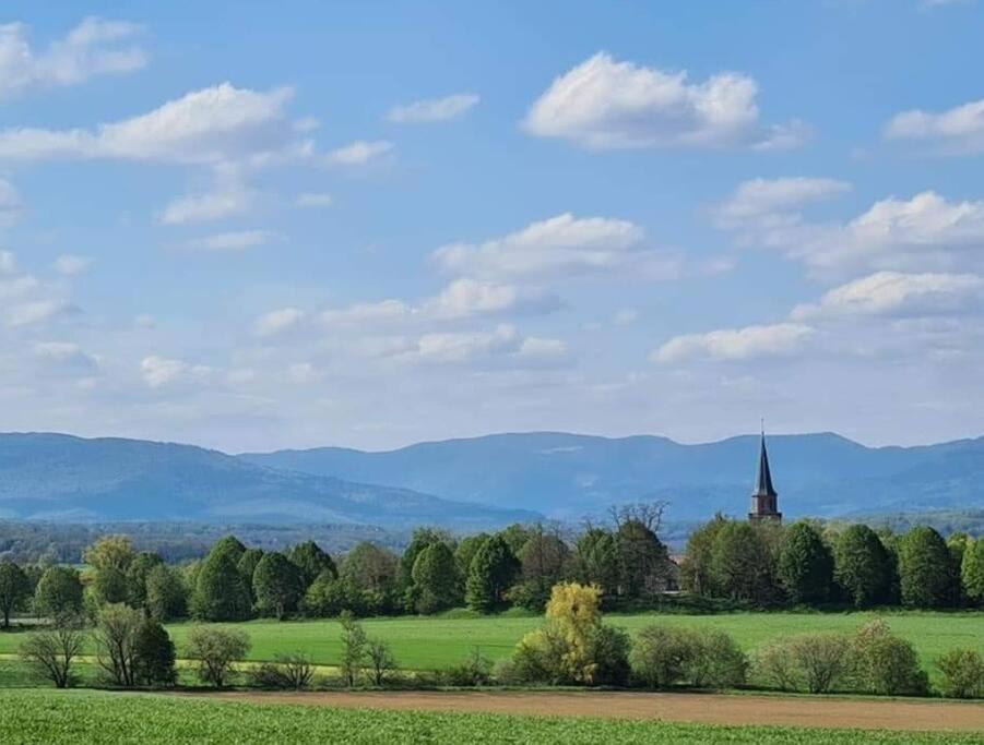 Le Grenier Appartamento Dannemarie  Esterno foto